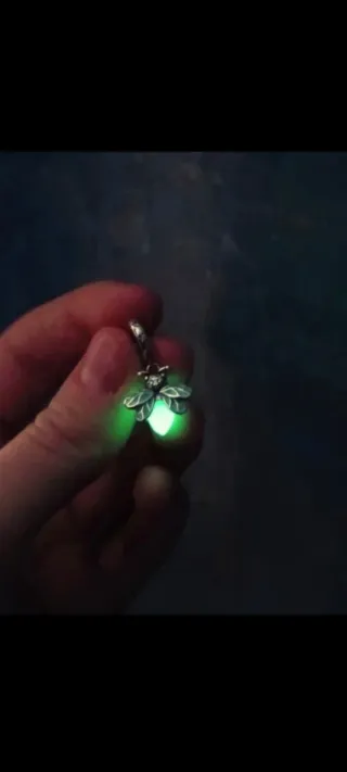 Pulsera Pandora Plata Original + 5 Charms