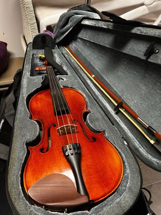 Viola con funda y arco