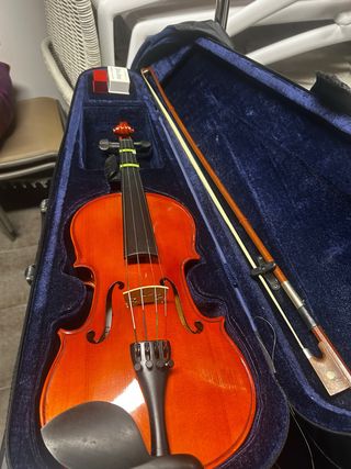 Viola con estuche y arco