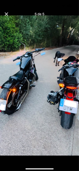 Harley Davidson Sportster 883 a 1200