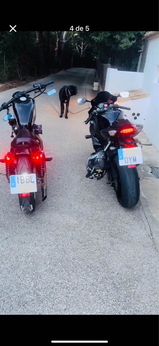 Harley Davidson Sportster 883 a 1200