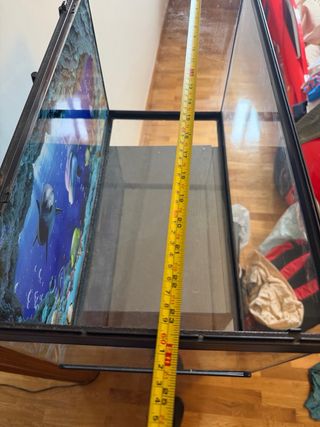 Pecera con fondo marino