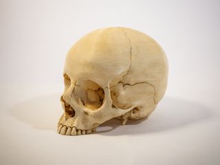 Crânio Tamanho Real com base, Impressão 3D, Gótico