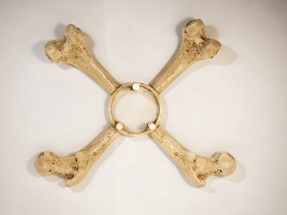 Crânio Tamanho Real com base, Impressão 3D, Gótico