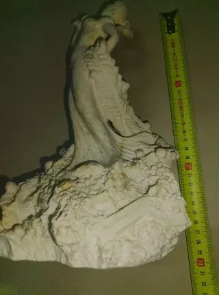 Figura para colorear