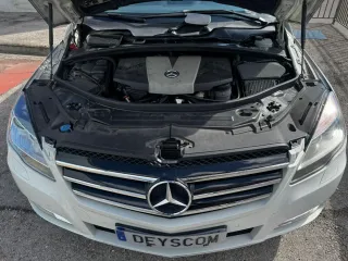 Mercedes-Benz Clase R 2010