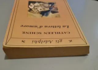 La lettera d'amore romanzo