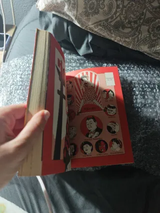 Midori la niña de las camelias