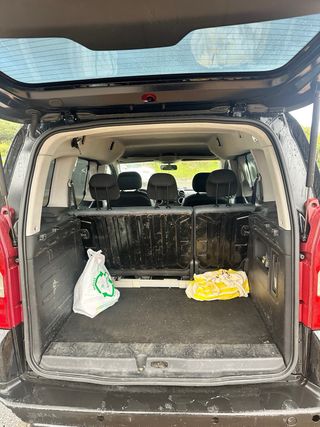 Citroen Berlingo 2010