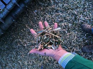 Trituradora de ramas Promagri Pro+