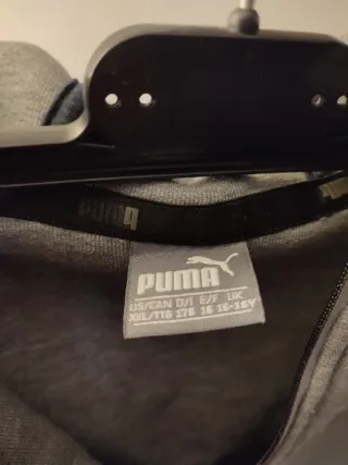 Felpa con cappuccio Puma uomo grigia