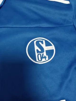 Camiseta FC Schalke 04 S Raúl 7