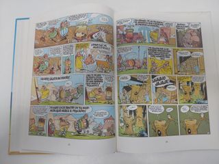 Astérix. El combate de los jefes