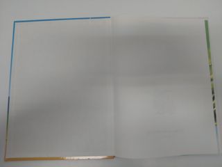 Astérix. El combate de los jefes