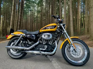 Harley-Davidson Sportster Roadster 1200 Carburator