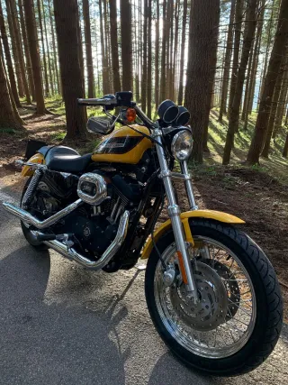 Harley-Davidson Sportster Roadster 1200 Carburator