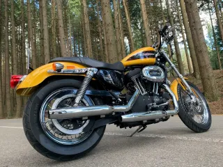 Harley-Davidson Sportster Roadster 1200 Carburator