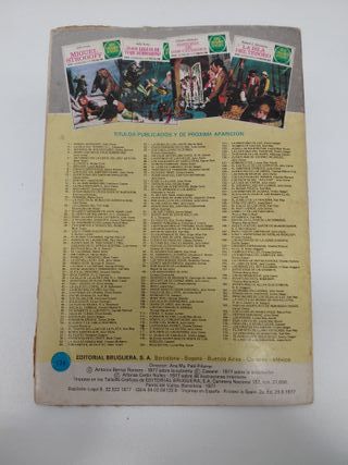 Aventuras de un niño irlandés. Julio Verne