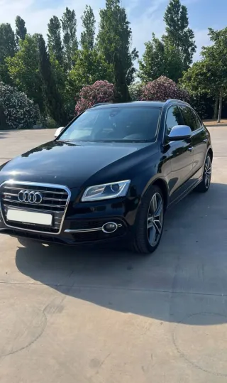 Audi SQ5 2015