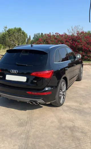 Audi SQ5 2015
