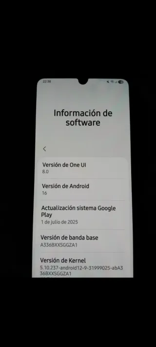 Samsung Galaxy A33 5G Negro