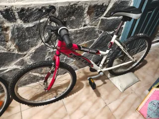 Bicicletas varios tamaños