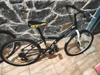 Bicicletas varios tamaños
