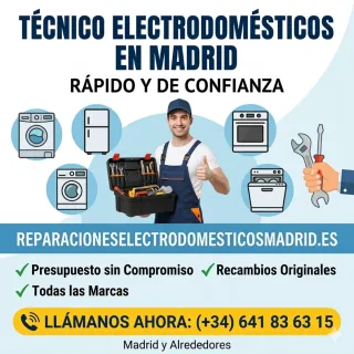 Técnico Reparación Electrodomésticos Madrid