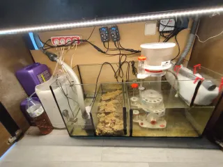 Acuario Marino Completo Negro/Marrón