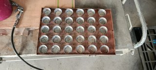 Bandejas 60/40 para llenadora de magdalenas