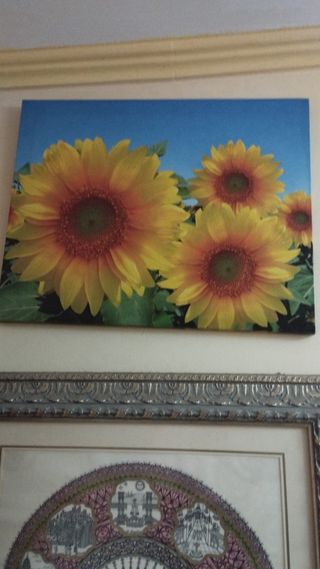 Cuadros Decorativos Audrey Hepbur