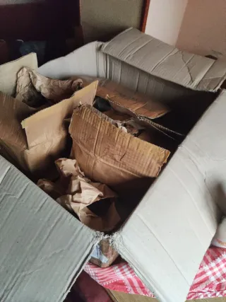 Bomboniere por rimanenza stock