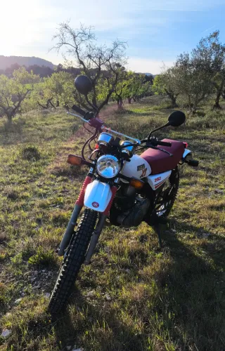 Yamaha SR 250, con aspecto de XT clásica