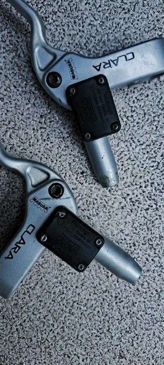 Manetas Magura Clara