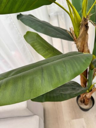 Platanera artificial grande