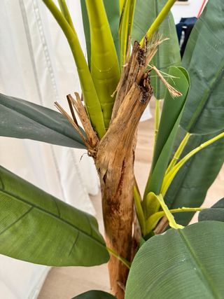 Platanera artificial grande