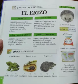 Los animales y su mundo.