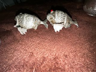 Pareja saleros plata pez antiguos