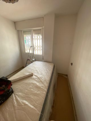 ALISADOS DE GOTELE CASTELLON