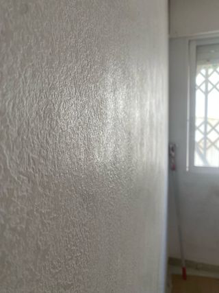 ALISADOS DE GOTELE CASTELLON