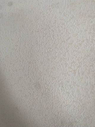 ALISADOS DE GOTELE CASTELLON