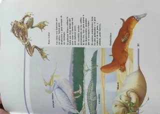 El mundo de los animales.