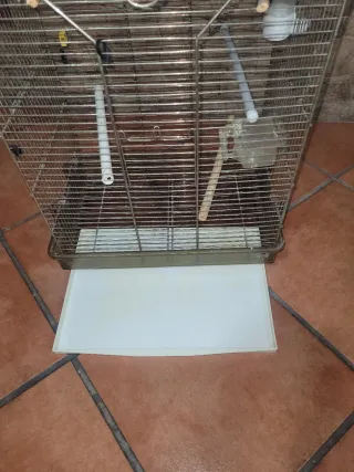 Jaula pájaros grande