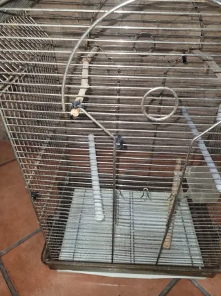 Jaula pájaros grande