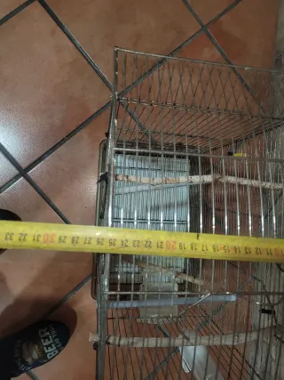 Jaula pájaros grande