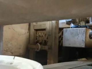 Cinta Limpieza y Envasado Cebolla