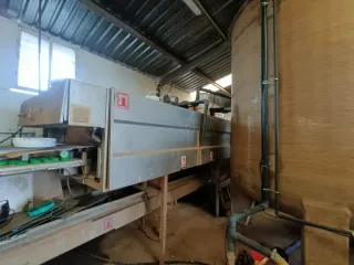 Cinta Limpieza y Envasado Cebolla