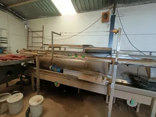 Cinta Limpieza y Envasado Cebolla