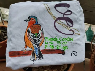 Funda de jaula pintada a mano