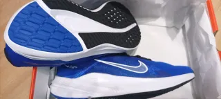 Zapatillas Nike Running Azul y Blanco